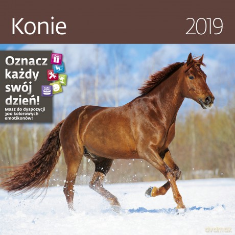Kalendarz 2019 konie 30x30 z naklejkami [KALENDARZ]