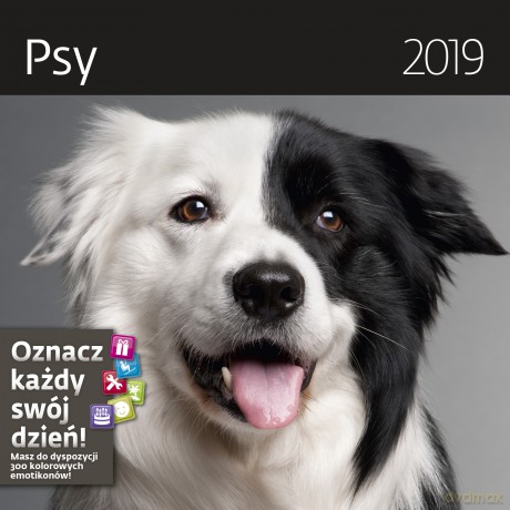 Kalendarz 2019 psy 30x30 z naklejkami [KALENDARZ]