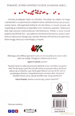 Moja twoja wina - Beata Majewska [KSIĄŻKA]