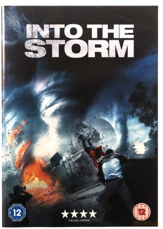 Into The Storm [DVD]