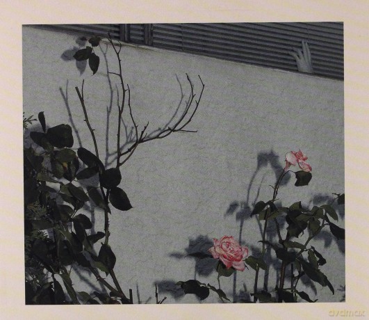 Soft Kill: Savior (digipack) [CD]