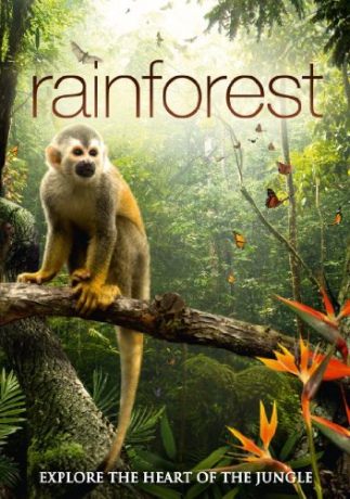 Rainforest [DVD]