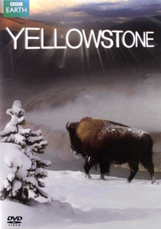 Yellowstone [DVD]
