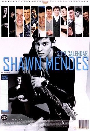 Shawn Mendes: Nieoficjalny kalendarz 2019 [KALENDARZ]