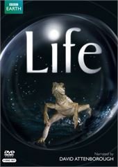 Life (Życie) (BBC) [4DVD]