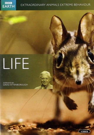Life (Życie) (BBC) [4DVD]