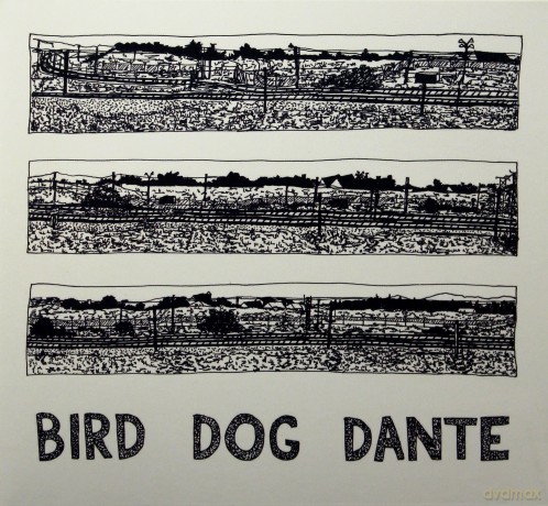 John Parish: Bird Dog Dante [CD]