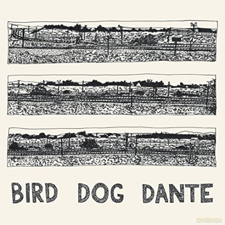 John Parish: Bird Dog Dante [Winyl]