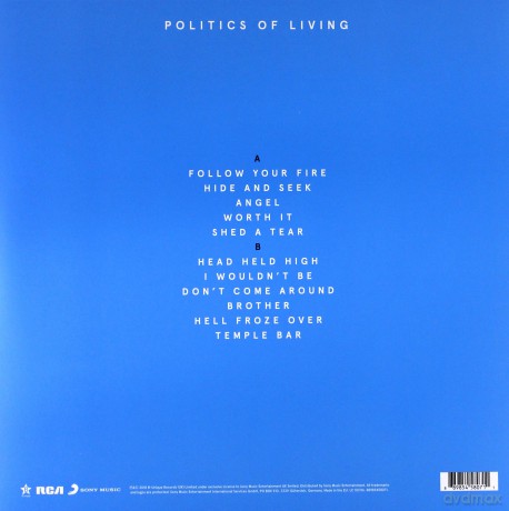 Kodaline: Politics of Living [Winyl]