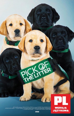 Pick of the Litter [DVD]