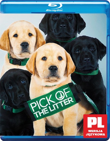 Pick of the Litter [Blu-Ray]