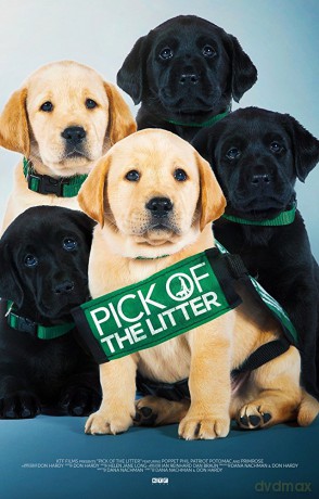 Pick of the Litter soundtrack [CD]