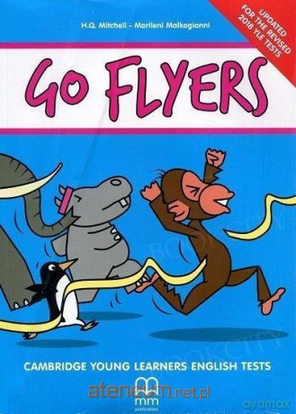 Go Flyers podręcznik [KSIĄŻKA]
