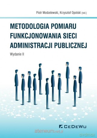 Metodologia pomiaru funkcjonowania sieci - Piotr Modzelewski, Krzysztof Opolski [KSIĄŻKA]
