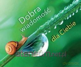Perełka 288 - Dobra wiadomość dla Ciebie [KSIĄŻKA]