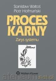 Proces karny. Zarys systemu - Piotr Hofmański, Stanisław Waltoś [KSIĄŻKA]