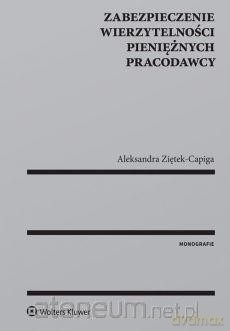 Zabezpieczenie wierzytelności pieniężnych [KSIĄŻKA]