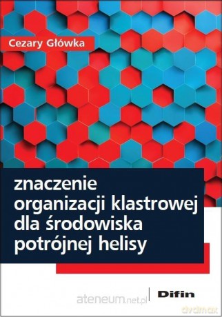 Znaczenie organizacji klastrowej dla środowiska - Cezary Główka [KSIĄŻKA]