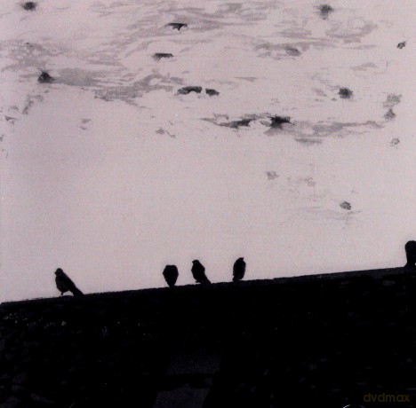 Stuart A. Staples: Arrhythmia [CD]