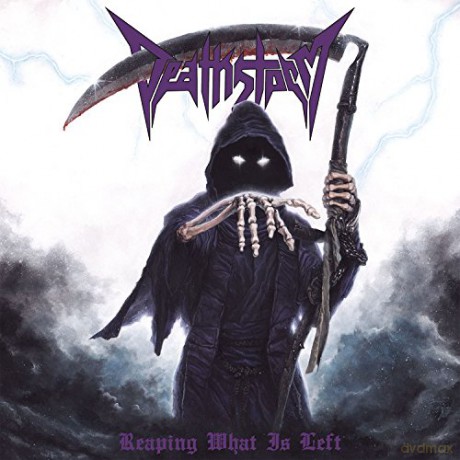 Deathstorm: Reaping What Is Left [CD]