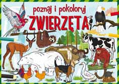 Zwierzęta. Poznaj i pokoloruj - Krzysztof Tonder [KSIĄŻKA]