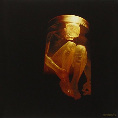 Alice In Chains: Nothing Safe - The Best Of [CD]