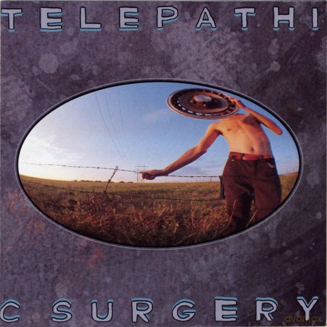 The Flaming Lips: Telepathic Surgery [Winyl]