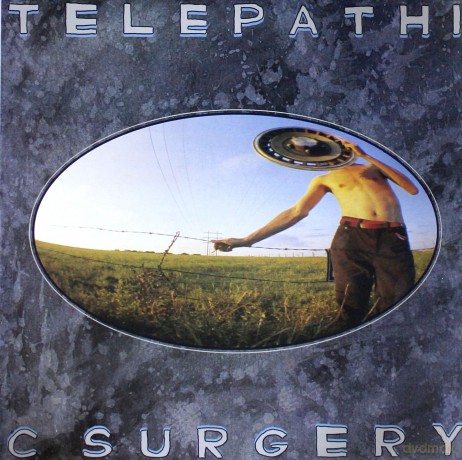 The Flaming Lips: Telepathic Surgery [Winyl]