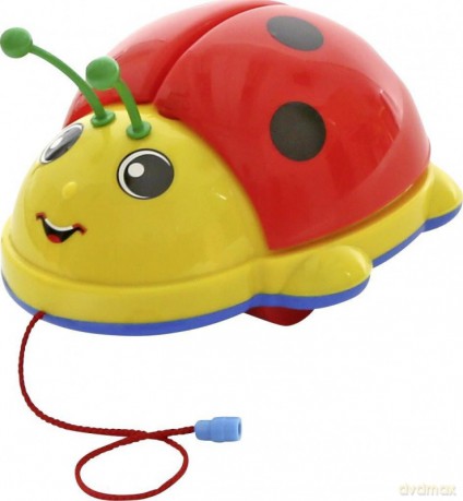Biedronka