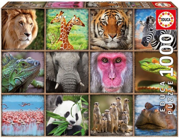 EDUCA 1000 el., Dzikie zwierzęta [PUZZLE]