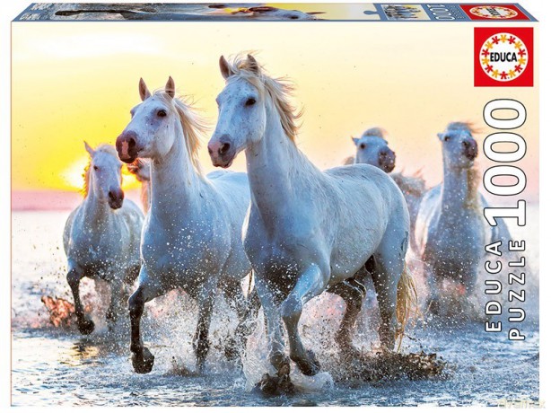 EDUCA 1000 el., White Horses at Sunset [PUZZLE]