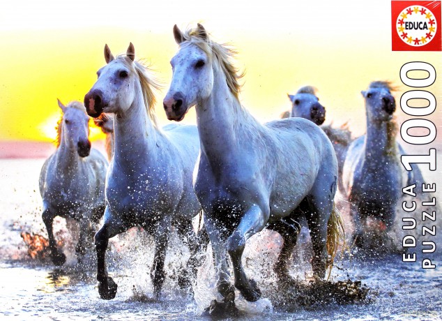 EDUCA 1000 el., White Horses at Sunset [PUZZLE]