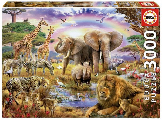 EDUCA 3000 el., Tęcza [PUZZLE]