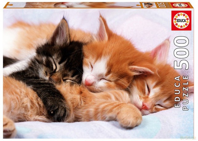 EDUCA 500 el. Kittens [PUZZLE]