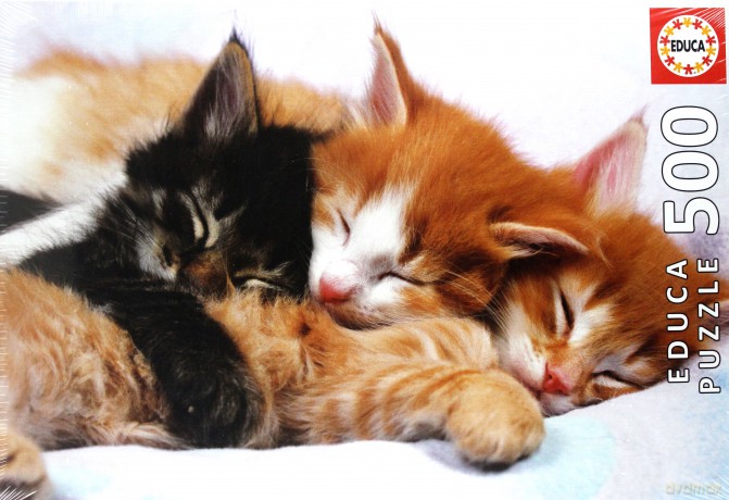 EDUCA 500 el. Kittens [PUZZLE]