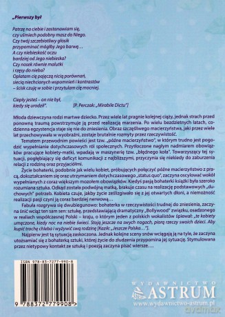 Macierzyństwo. Jak pudełko wierszy. Powieść poetycka [KSIĄŻKA]