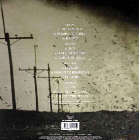 Mudvayne: Lost And Found [Winyl]