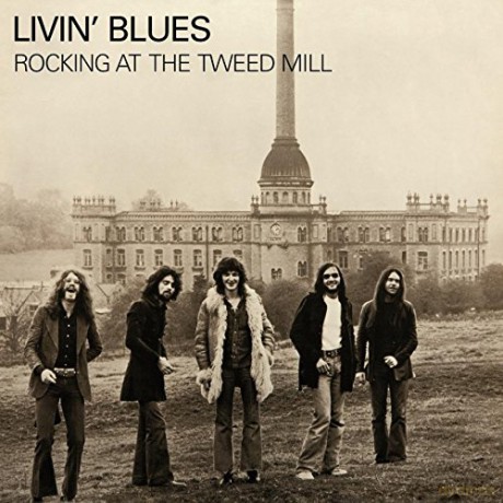 Livin' Blues: Rocking At The [Winyl]