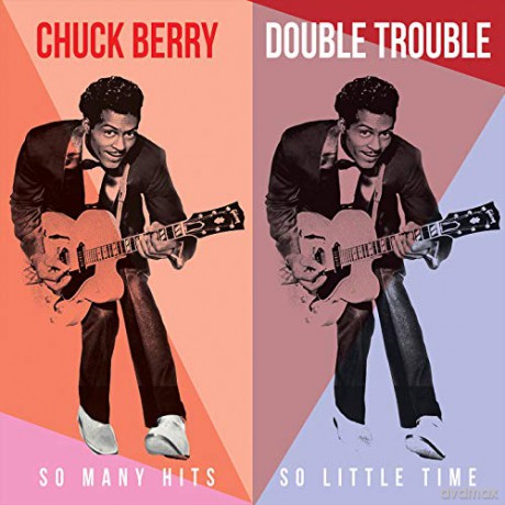 Chuck Berry: Double Trouble - So Many Hits So Little Time [Winyl]