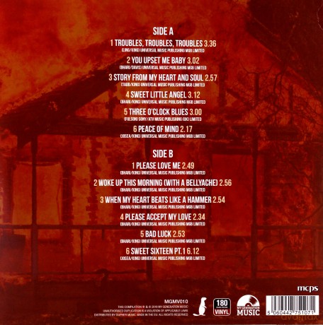 B.B. King: Mississippi Burning [Winyl]