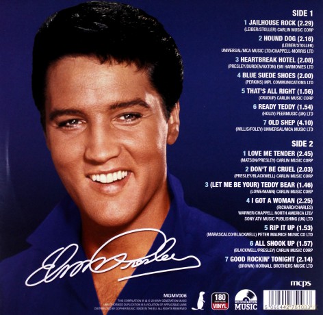 Elvis Presley: The Rock N Roll Years [Winyl]