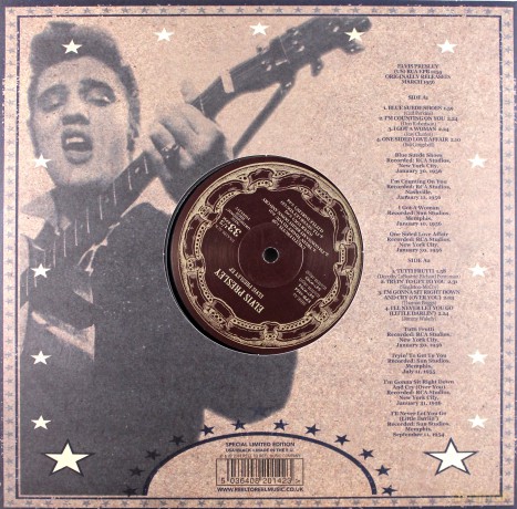Elvis Presley: Us Ep Collection 1 - 10 EP [Winyl]