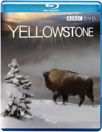 Yellowstone [Blu-Ray]