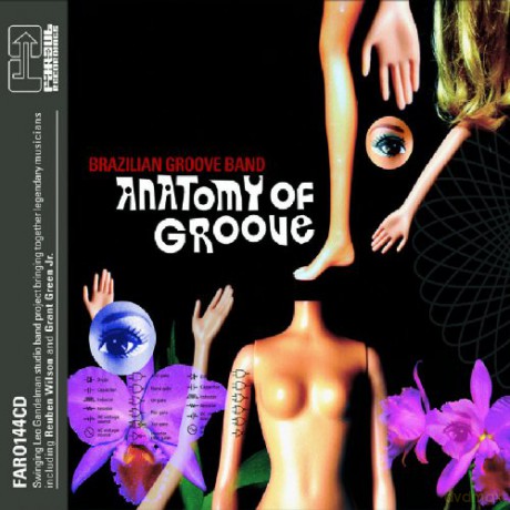 Brazilian Groove Band: Anatomy Of Groove [CD]