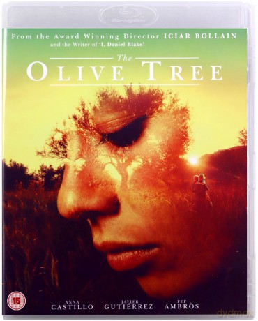 The Olive Tree [Blu-Ray]+[DVD]