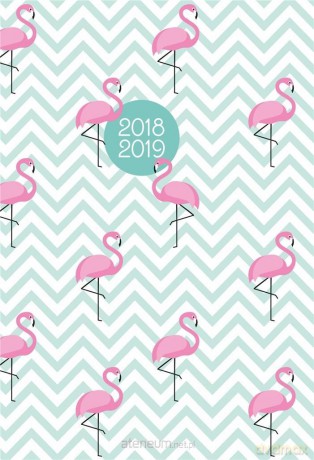 Kalendarz tygodniowy B6 2018-2019 Flamingi [KALENDARZ]