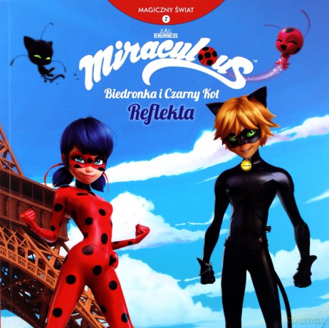 Magiczny Świat 2. Biedronka i Czarny Kot [KSIĄŻKA]