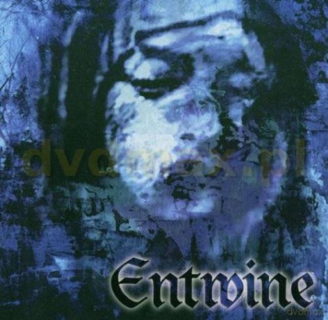 Entwine: The Treasures Within Hearts [CD]