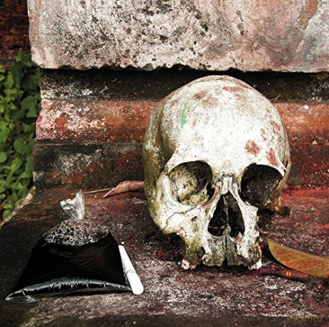 Gamelan Of The Walking Warriors - Gamelan Beleganjur And The Music Of The Ngaben Funerary Ritual In Bali [CD]