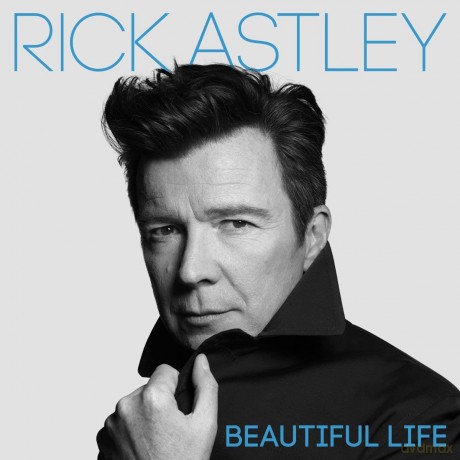 Rick Astley: Beautiful Life [Winyl]
